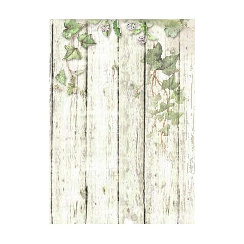 Stamperia Assorted Rice Paper Backgrounds A6 8/Sheets - House of Roses