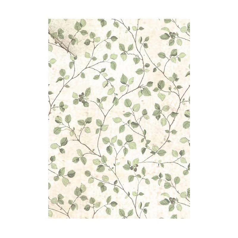 Stamperia Assorted Rice Paper Backgrounds A6 8/Sheets - House of Roses