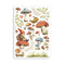 Stamperia A5 Washi Pad 8/Pkg - Hidden Grove