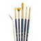 Princeton Real Value Golden Taklon Short Handle Brush Set 6/Pkg