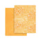 Graphic 45 Patterns & Solids Collection Pack 8.5"x 11" - Seas The Day^
