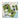 Karen Burniston Dies Curved Edges
