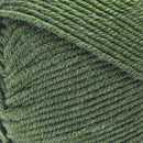 Caron Simply Me Yarn Merino - Basil Heather