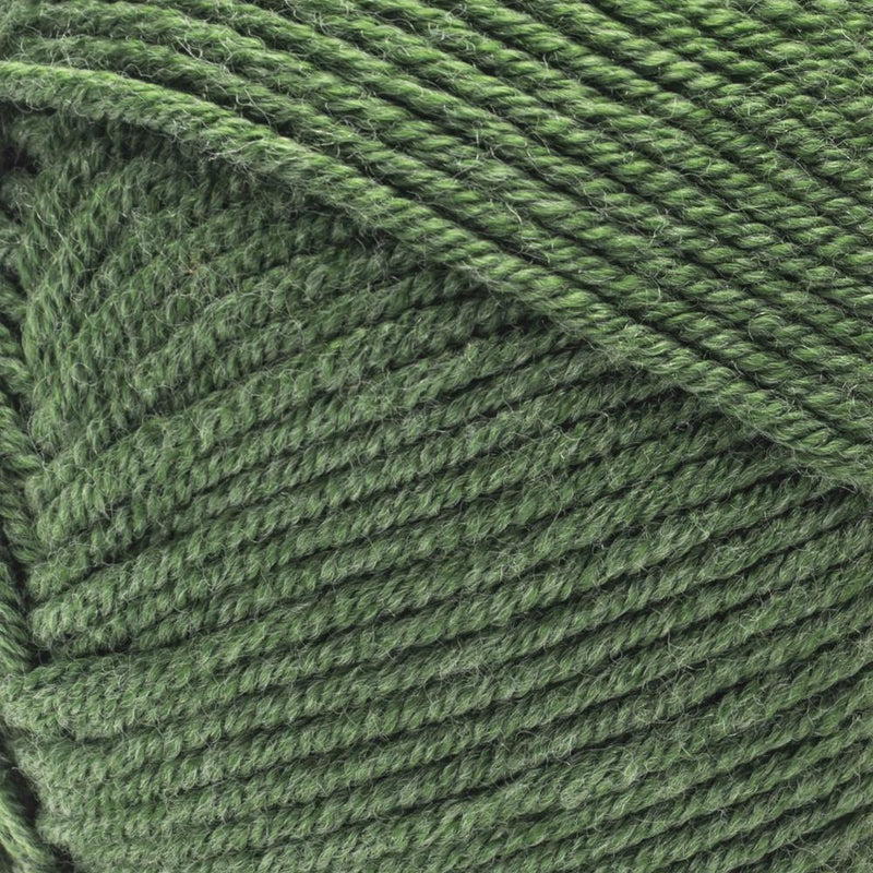 Caron Simply Me Yarn Merino - Basil Heather