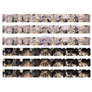 Prima Tickets 36/Pkg Bewitched