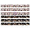 Prima Tickets 36/Pkg Bewitched