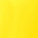 Liquitex Basics Acrylic Paint 118ml - Transparent Yellow
