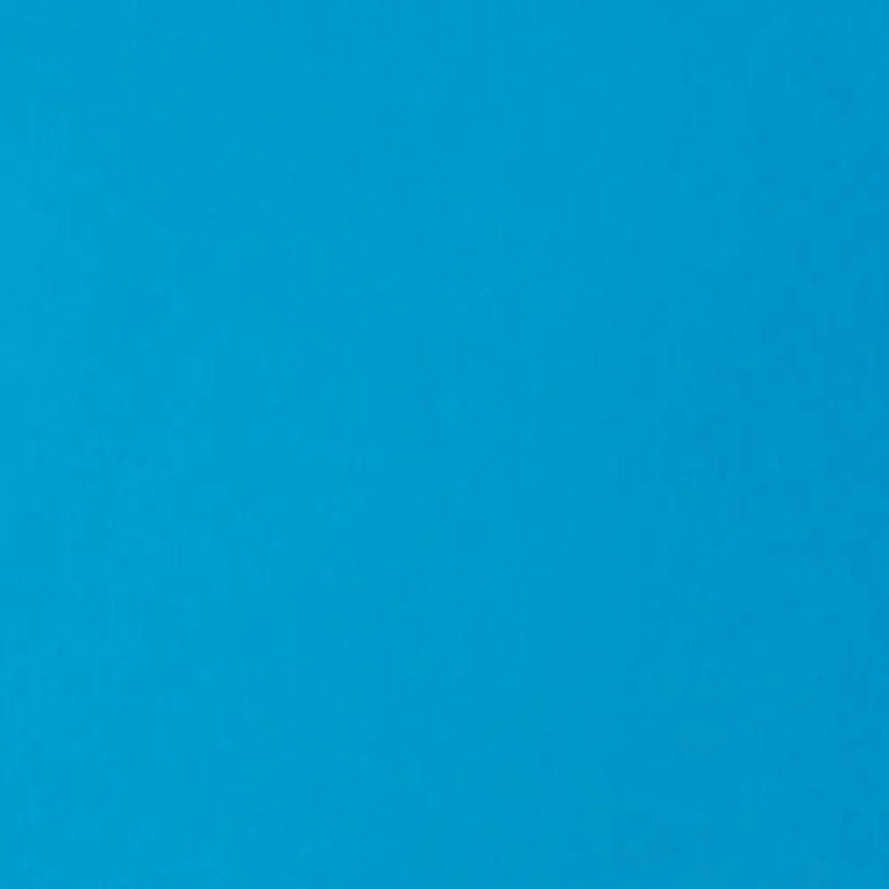 Liquitex Basics Acrylic Paint 118ml - Brilliant Blue