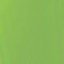Liquitex Basics Acrylic Paint 118ml - Lime Green