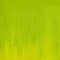 Winsor & Newton Artists' Oil Colour 37ml - S4 - Cadmium-Free Green Pale*