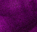 Jasart Byron Acrylic Paint 75ml  - Glitter Purple