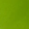 Winsor & Newton Artists' Oil Colour 37ml - S4 - Cadmium Green Pale*