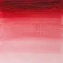 Winsor & Newton Artists' Oil Colour 37ml - S5 - Rose Madder Genuine