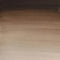 Winsor & Newton Cotman Watercolour 8ml - S1 - Sepia*