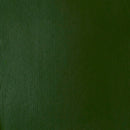 Liquitex Professional Heavy Body Acrylic 59ml - S1 - Hooker's Green Hue Permanent*