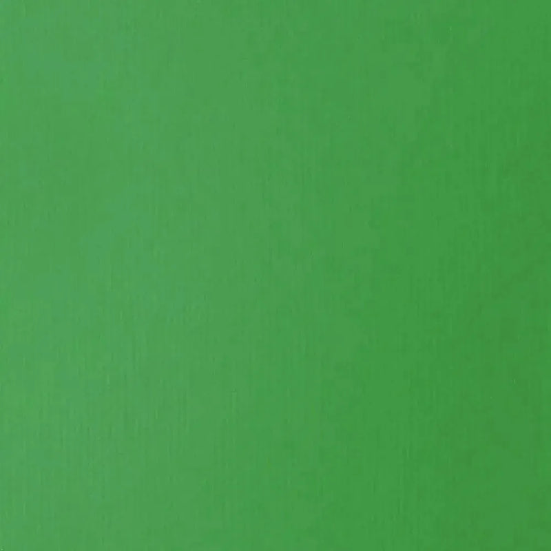 Liquitex Basics Acrylic Paint 118ml - Light Green