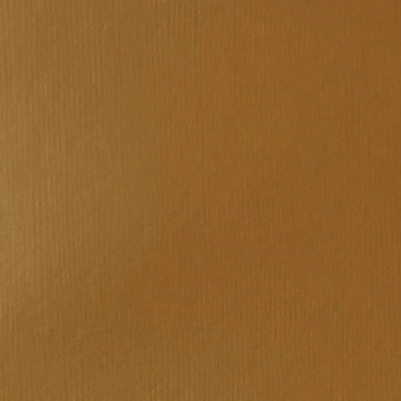 Liquitex Basics Acrylic Paint 118ml - Raw Sienna