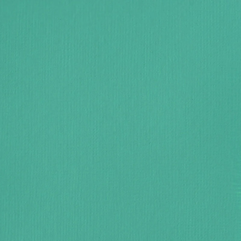 Liquitex Basics Acrylic Paint 118ml - Bright Aqua Green
