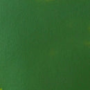 Liquitex Basics Acrylic Paint 118ml - Hooker's Green