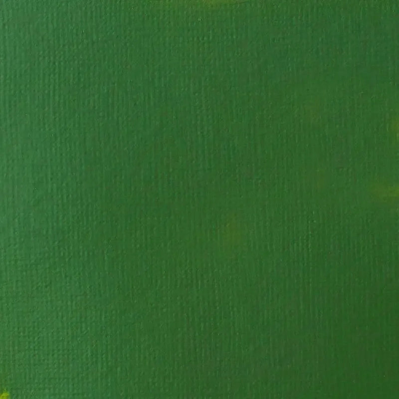 Liquitex Basics Acrylic Paint 118ml - Hooker's Green