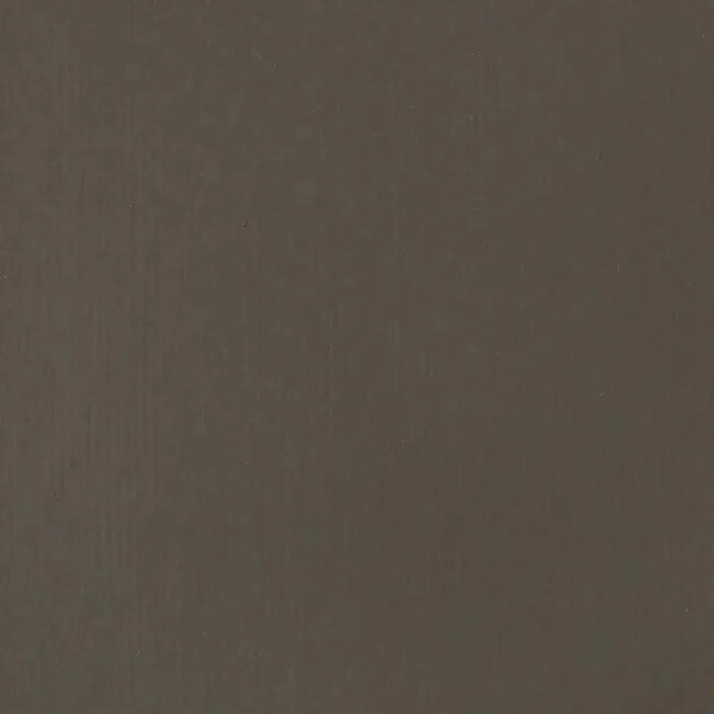 Liquitex Basics Acrylic Paint 118ml - Raw Umber