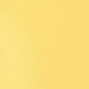 Liquitex Basics Acrylic Paint 118ml - Naples Yellow Hue