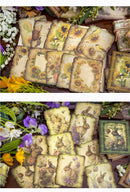 Poppy Crafts Burnt Edge Scrap Paper Pack - Garden of Memories 4 - 50pcs