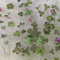 Poppy Crafts Natural Sticker Pack - Clovers