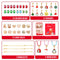 Poppy Crafts Luxury Jewellery Making Kit - Christmas Collection #2*