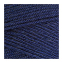 Stylecraft Special DK Premium Acrylic Yarn 100g - Lobelia