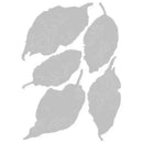 Sizzix Thinlits Die Set By Tim Holtz 5/Pkg - Leaf Fragments