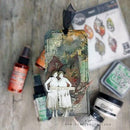 Sizzix Thinlits Die Set By Tim Holtz 5/Pkg - Leaf Fragments