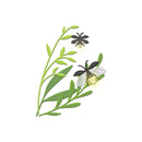 Poppy Crafts Cutting Dies