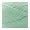 Premier Yarns Cotton Sprout Worsted Yarn - Mint