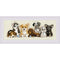 RIOLIS Counted Cross Stitch Kit 15.75"X6" Puppies