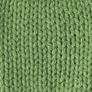 Caron One Pound Yarn ‚Äö√Ñ√¨ Grass Green