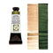 Daniel Smith Extra Fine Luminescent Watercolour Paint 15ml - Duochrome Saguaro Green