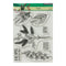 Penny Black Clear Stamps - Fragile*