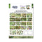 3Quarter Designs Card Macking Pack 6"x 4" - Magic Vines