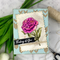 Poppy Crafts Cutting Dies & Stamp Set