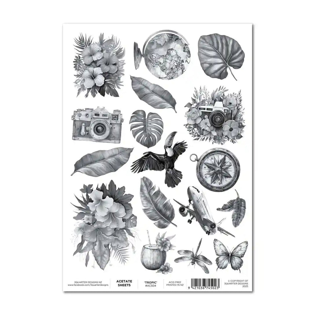 3 Quarter Designs Acetate Sheets - Tropic Excursion – CraftOnline