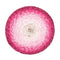 Grundl Saragossa Premium Yarn