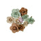Prima Marketing Paper Flowers 9/Pkg Forest Shades, Nature Academia
