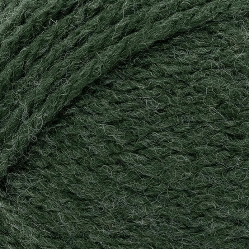 Lion Brand Hue & Me Yarn - Night Forest