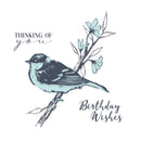 Sizzix Layered Clear Stamp by Olivia Rose - 4-piece - Summer Bird