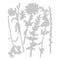 Sizzix Thinlits Dies By Tim Holtz 6/Pkg - Vault Wildflowers