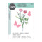 Sizzix Framelits Die & A5 Stamp Set By 49 & Market - Painted Pencil Botanical