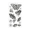 Sizzix Clear Stamp Set By Lisa Jones - Nature Butterflies