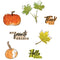 Sizxix A5 Clear Stamps With Framelits Die By 49 And Market - Pencil Line Harvest*
