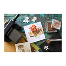 Sizzix Thinlits Die Set 12/Pkg By Tim Holtz - Vault Holiday Classic